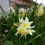 A Casa Di Zia Daniela - Oasi Nel Silenzio