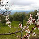 Vakantiehuis A Casa Di Zia Daniela - Oasi Nel Silenzio *