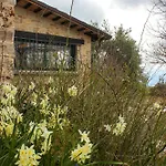 A Casa Di Zia Daniela - Oasi Nel Silenzio * Polesia
