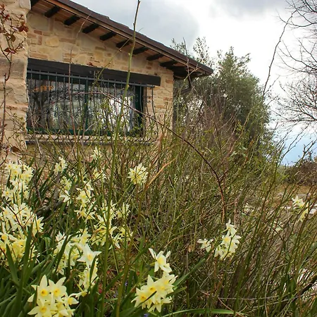 A Casa Di Zia Daniela - Oasi Nel Silenzio * Polesia